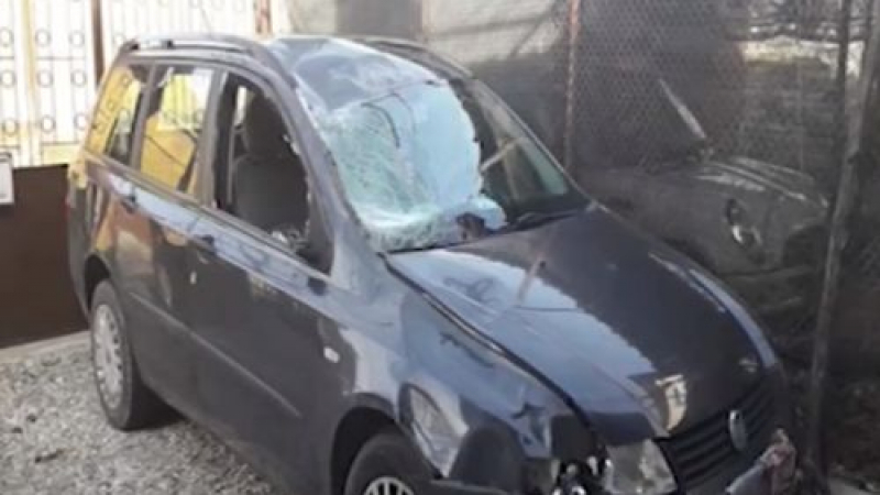 Екшън в Дупница: Галопиращ кон се заби в кола, гледката е смразяваща ВИДЕО 