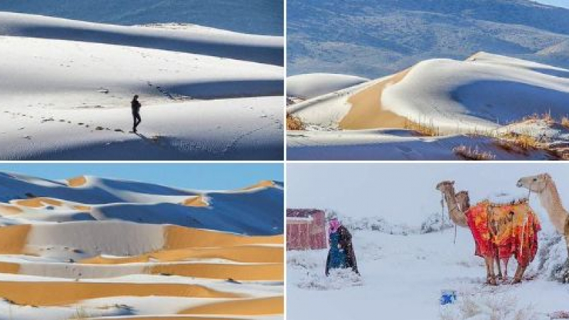 СНИМКИ и ВИДЕО показаха какъв природен феномен се случи в Сахара за четвърти път в историята