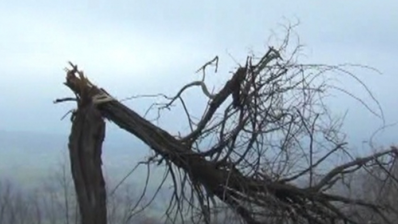 Силният вятър направи страшни поразии във Враца