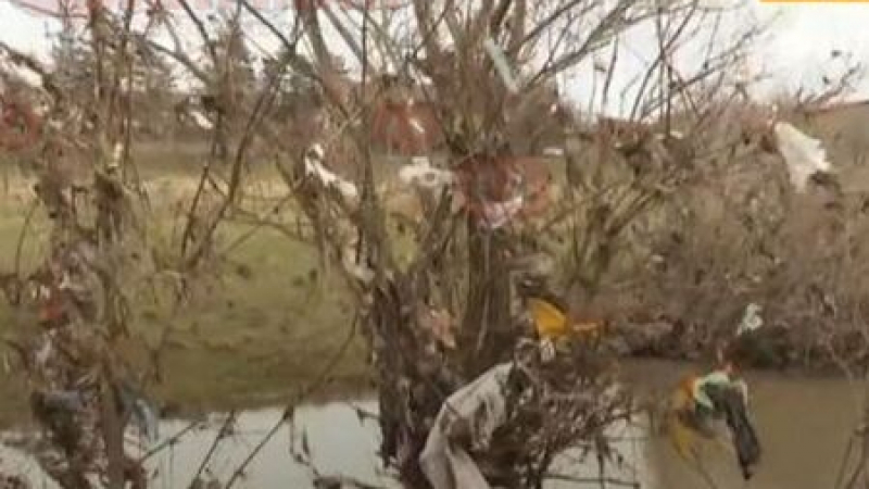 Тонове боклуци висят по дърветата край Средецка река