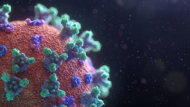 Учени разкриха загадката защо мъжете по-често умират от коронавирус
