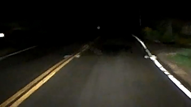 Шофьор едва не удари нещо на магистралата: видеорегистраторът го шокира ВИДЕО