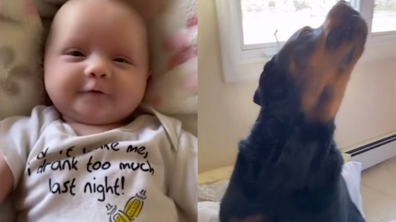 Куче показа на бебе как да казва думата "мама" и покори интернет ВИДЕО