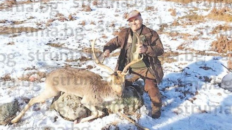 Бизнесменът Войводата отстреля красив елен за подарък СНИМКИ