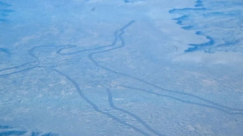 Мистерията с Марейския човек – най-големия геоглиф на Земята ВИДЕО