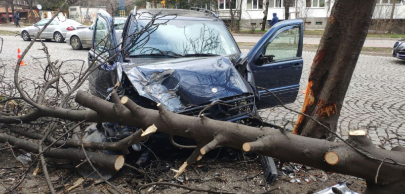 Шофьорът, забил се в дърво в София, направил още куп поразии СНИМКИ 