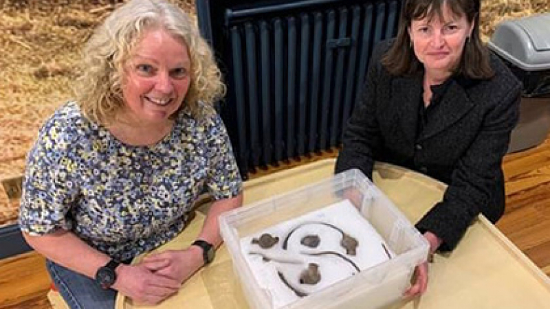 Жена намери съкровище на викинги с металотърсач 