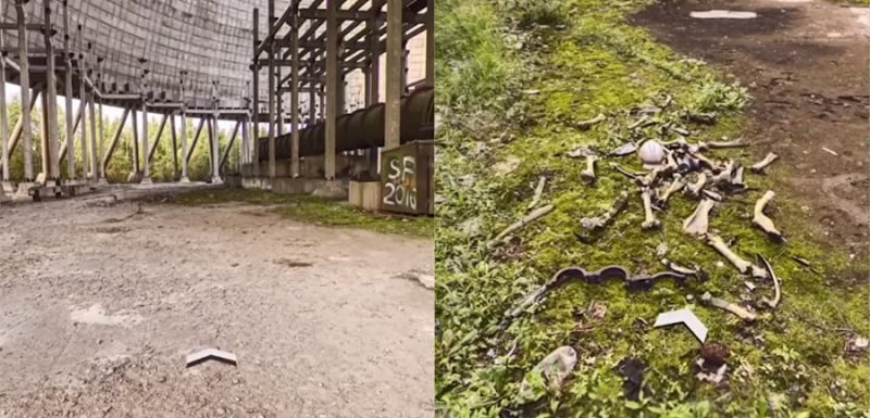 Зловещо: Мъж откри купчина човешки кости в Чернобил чрез Google Maps  ВИДЕО