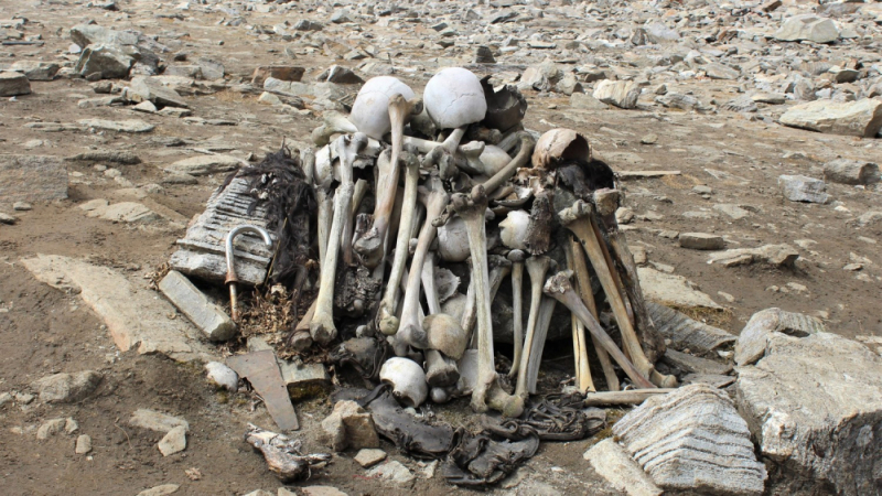 Анализ на човешки скелети, открити в близост до хималайско езеро, втрещи учените
