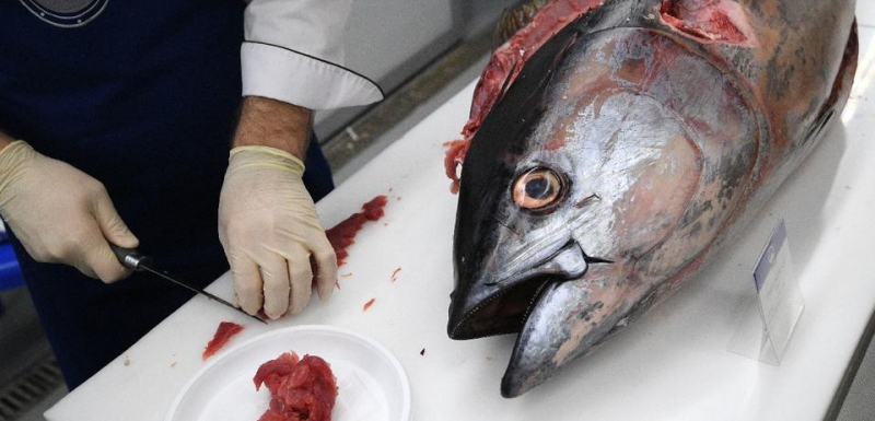 Учен назова полезни риби, които могат да отровят хората