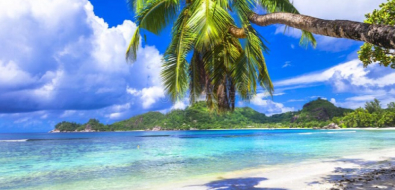 Сейшелите - новият рай за почивка без Covid-19