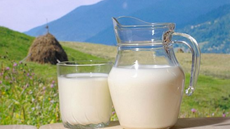 Проверка: Нагла фалшификация и измама с млякото, което ни продават