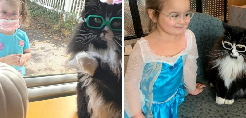 Котка започна да носи очила, за да помогне на деца с лошо зрение ВИДЕО