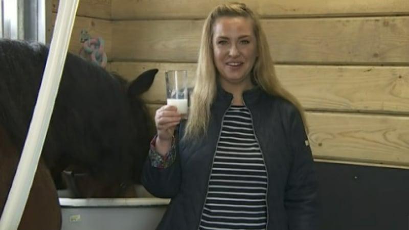 Тв репортерка издои кобила на живо, пийна от млякото, а след това... ВИДЕО