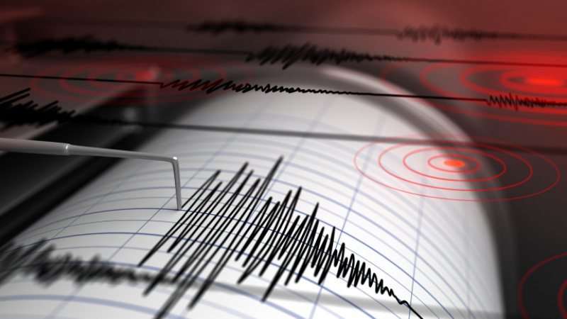 Земетресение от 6 по Рихтер разтърси Алжир