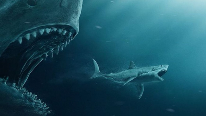 Чудовища: Древните акули са били много по-големи, отколкото се смяташе досега