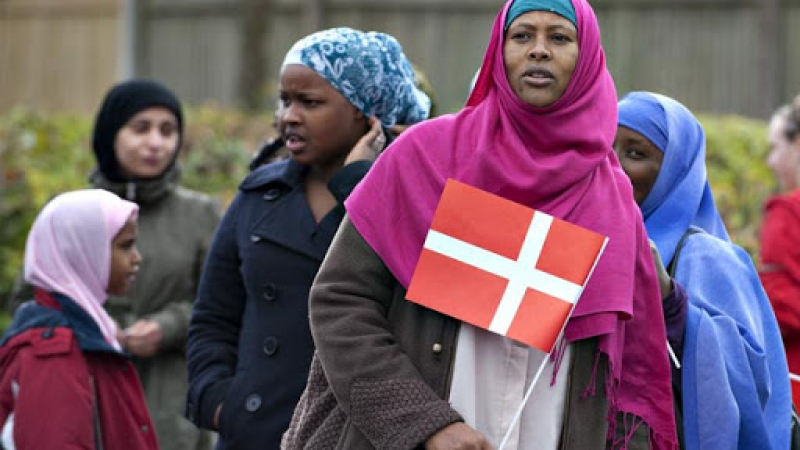Как Дания ще постигне в страната "хората с незападен произход да са най-много 30%"