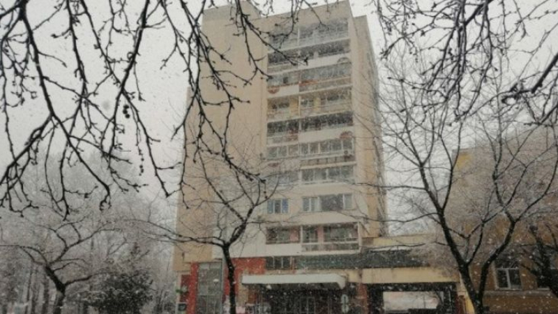 Бизнесмен изправи на нокти 10-етажен блок в центъра на Пловдив СНИМКИ