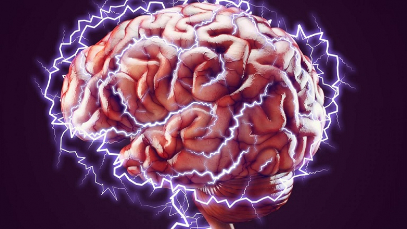 Учени от САЩ откриха, че часове след смъртта на човек част от мозъка му се активизира