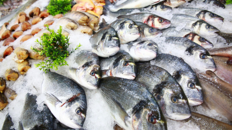 Диетолози: 5 вида риби, с които да не прекалявате на трапезата