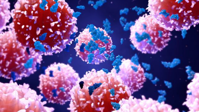 Т-клетките пазят и от новите варианти на коронавируса, имате ли ги
