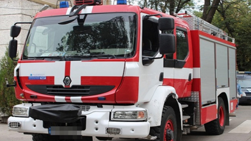 Бургазлийка прати пожарникари и полицаи за зелен хайвер да разбият чужда врата