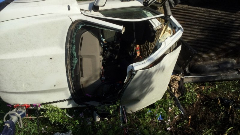 Кошмарен инцидент с труп на пътя в Търновско 