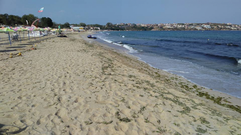 Министър Николова с реакция заради случващото се на плаж "Смокиня"