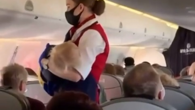 Мрежата е изумена: Какво направи стюардеса c бебе в самолет