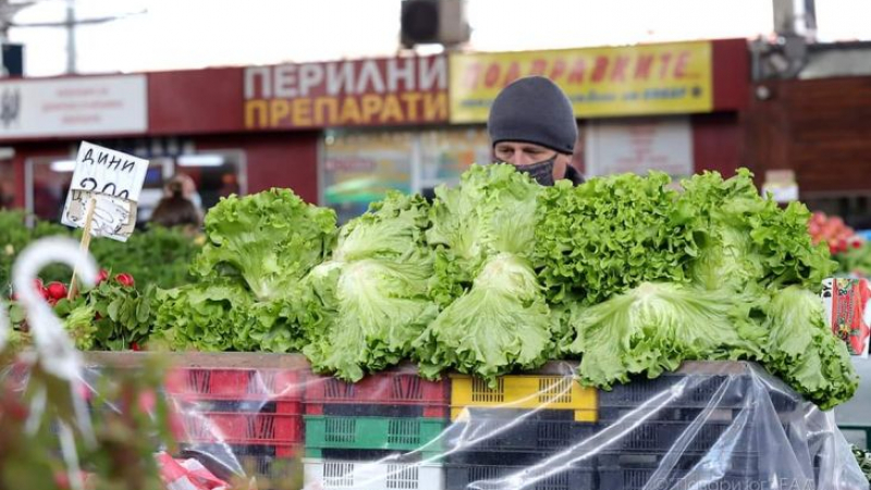 Български розови домати и агнешко са хит на пазара в Красно село СНИМКИ