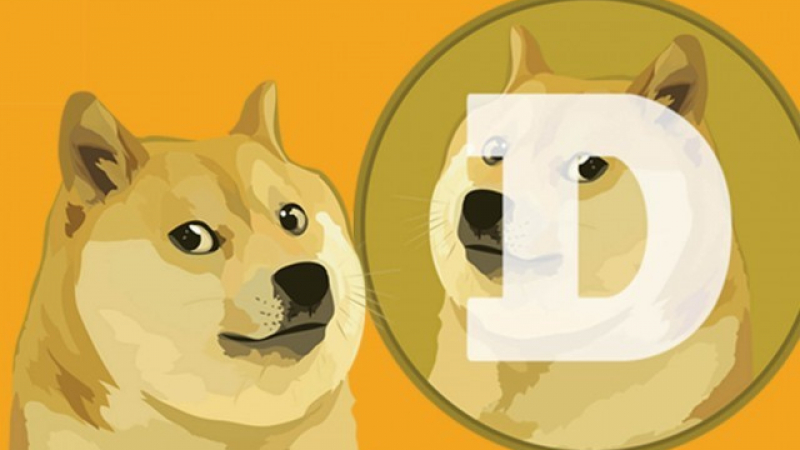 Цената на Dogecoin падна след телевизионното участие на Илон Мъск
