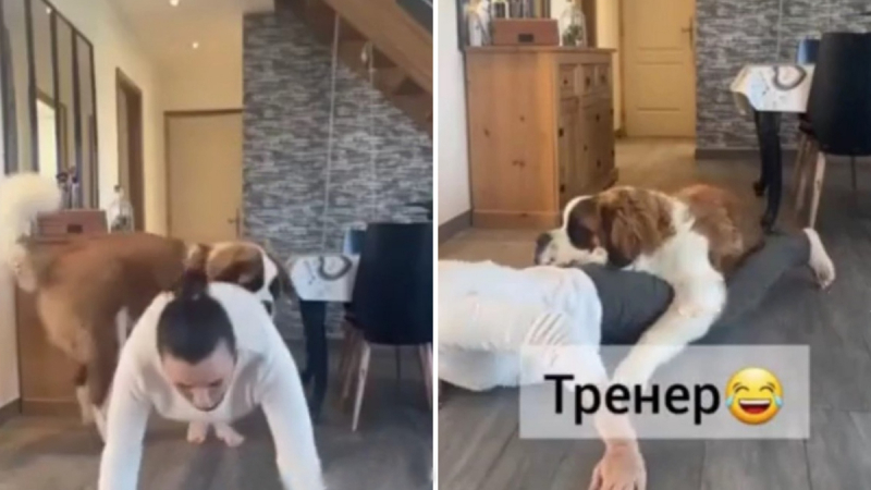 Куче показа на собственичката си най-ефективното упражнение ВИДЕО