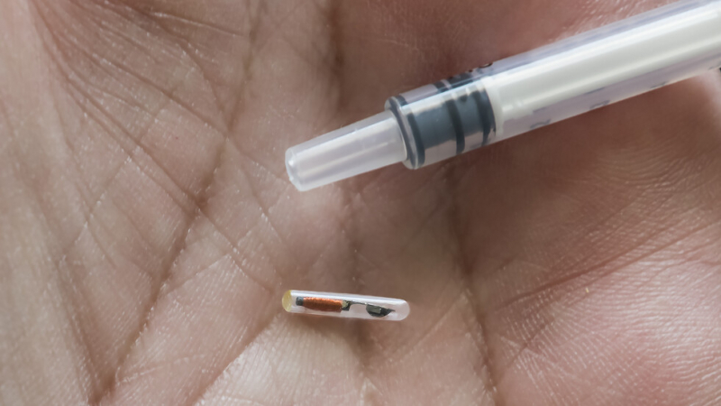 Светът изтръпна: Направиха микрочип, който се инжектира в тялото със спринцовка