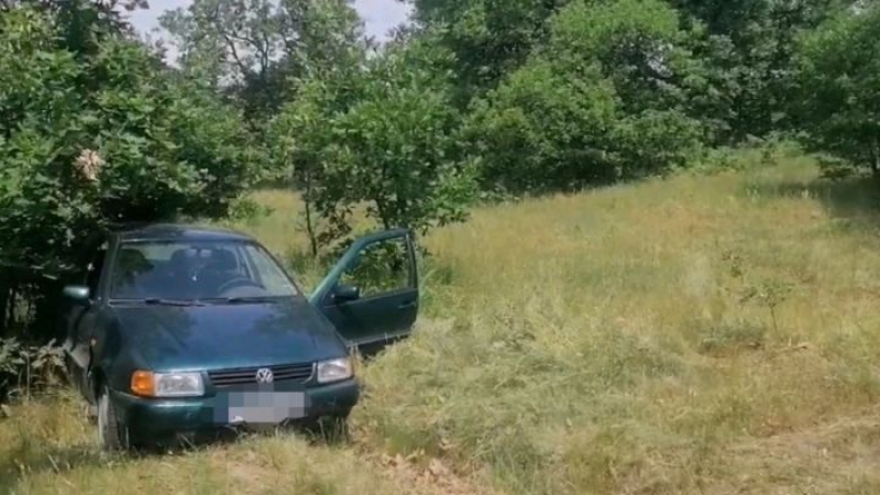 Билкар от Асеновград паркира Фолксвагена си в гората, а като се върна онемя СНИМКИ