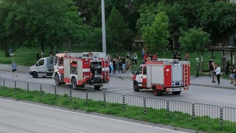 Кървав кошмар край автобусна спирка във Видин завърши с... СНИМКИ 