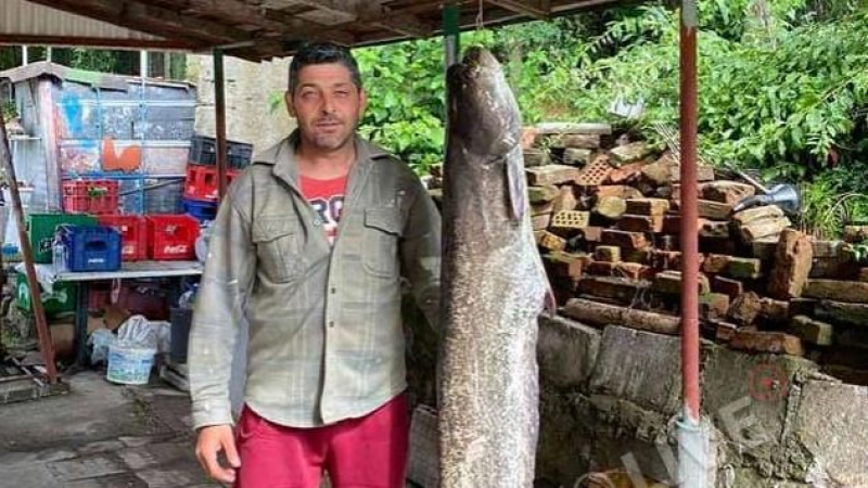 Димитровградчанин извади страшен звяр от река Марица СНИМКА 