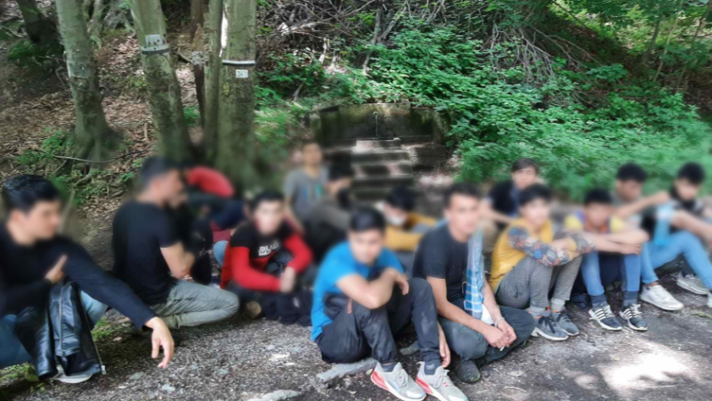 Мигранти бродят в гората над Ихтиман, изядоха храната на дивите животни СНИМКИ
