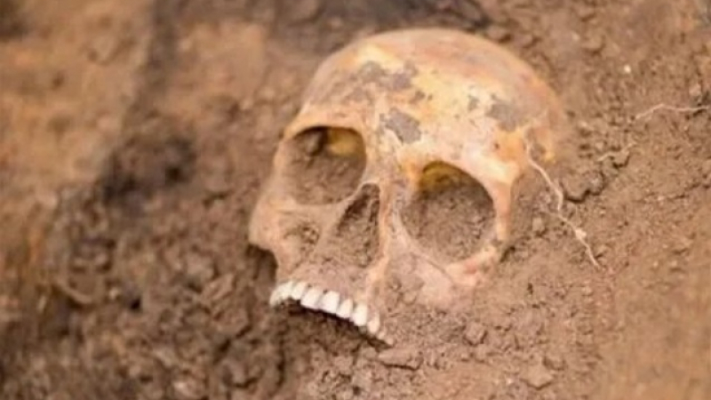 Щам от смъртоносна инфекция бе открит в древен череп