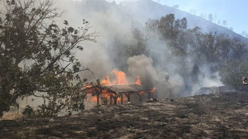 Смъртоносна новина от пожарите в Кипър