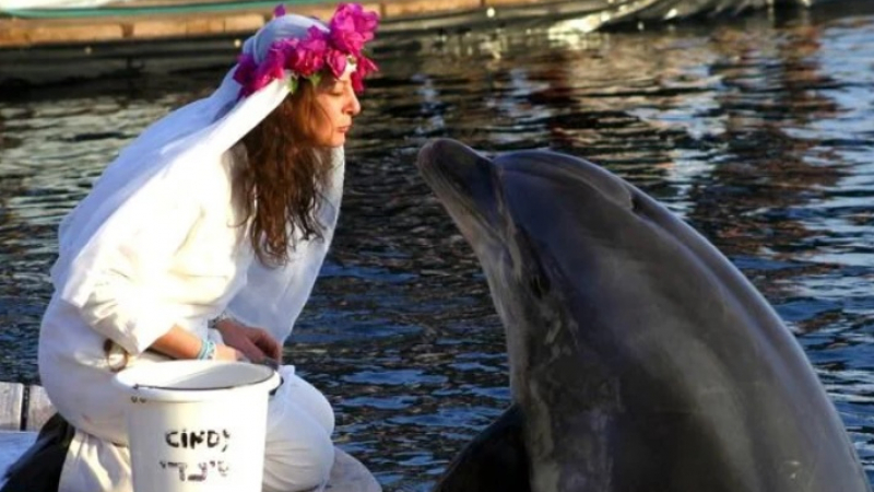 Милионерка се омъжи за делфин, а случилото се след това е истинска трагедия ВИДЕО
