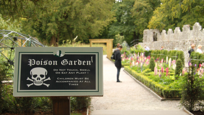 Туристите обожават най-смъртоносната градина в света СНИМКИ
