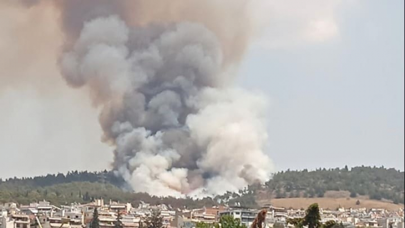 Огнен ад в Солун, тече евакуация СНИМКИ