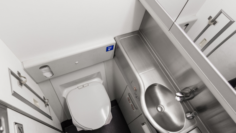 Тайното място в тоалетната на самолета, за което всички трябва да знаят ВИДЕО