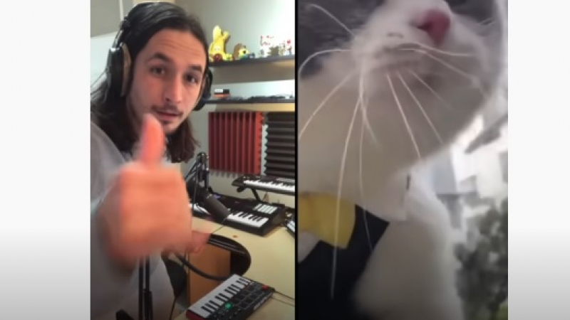 Невероятен музикален шедьовър с мяукаща котка ВИДЕО