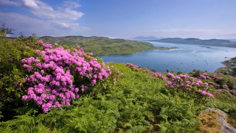 Шотландският остров Буте очарова с историята и красотата си СНИМКИ
