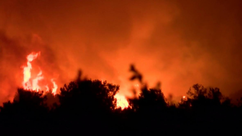 Наши туристи в Мармарис и Анталия изпратиха страшни ВИДЕА от огнения ад