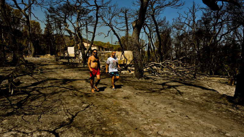 Няма данни за пострадали българи при пожарите в Гърция