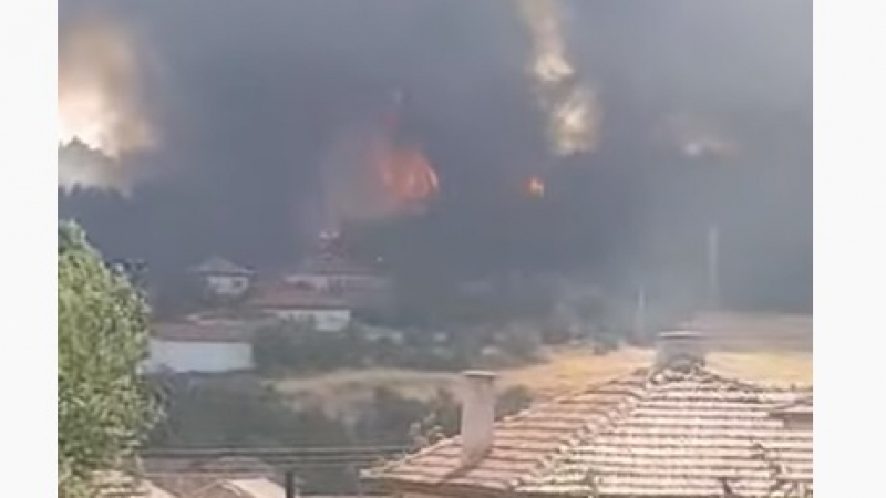 БЛИЦ TV: Страшен пожар се вихри в Хисарско, може да пламнат крайните къщи на Старосел