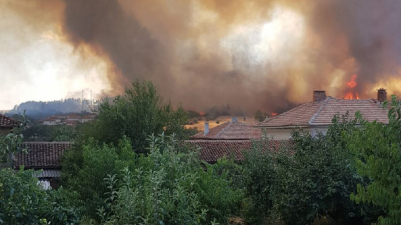 Първи жертви на пожарите! До Старосел стана страшно, горят домове, викат хеликоптер ВИДЕО