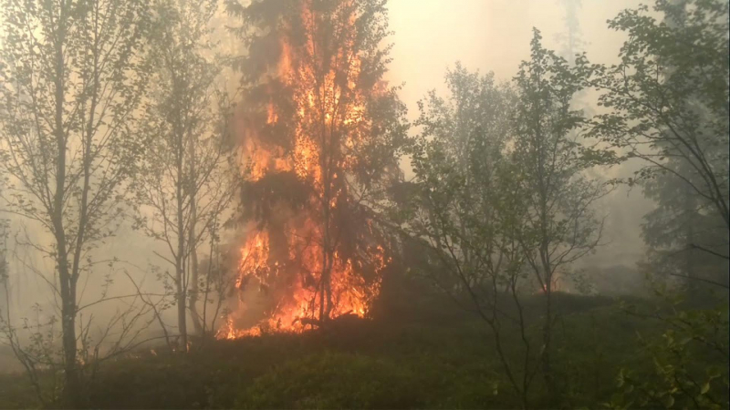 Край българската граница е ад, гръцките пожарникари се борят отчаяно 